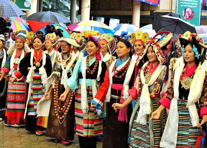 Cover for the collection The Diaspora in India.