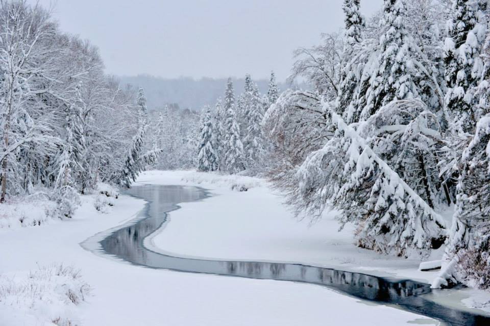 Cover for the collection Landscapes.